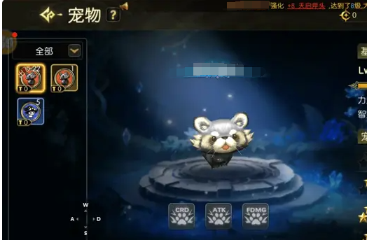 龙之谷启程精灵技能洗练界面