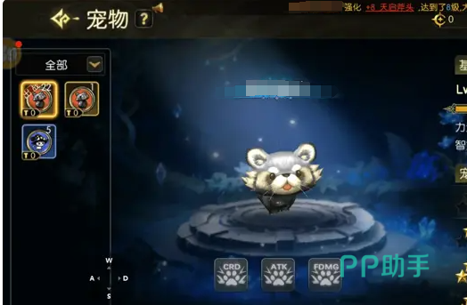 龙之谷启程精灵技能洗练界面