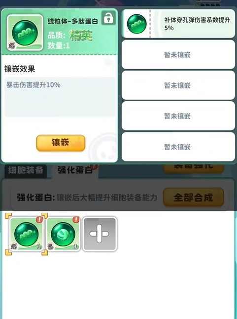 战斗细胞强化蛋白镶嵌效果预览