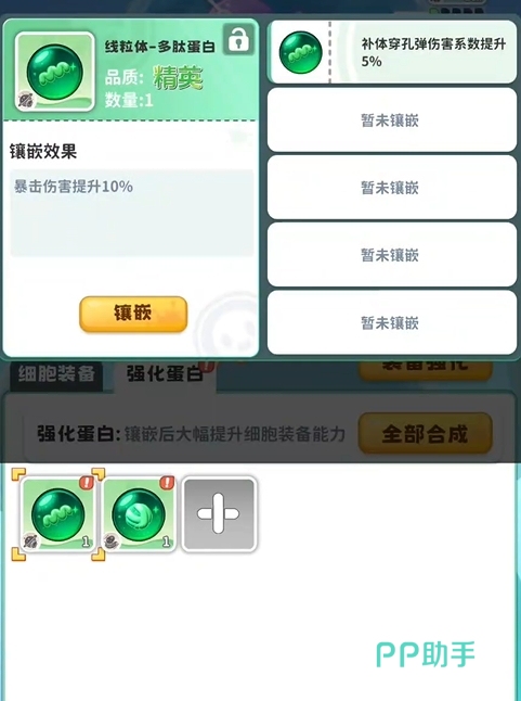 战斗细胞强化蛋白镶嵌效果预览