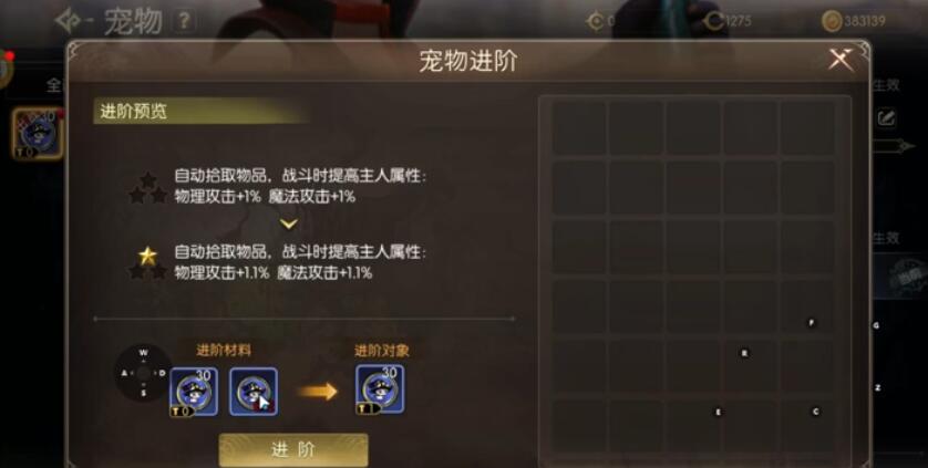 龙之谷启程宠物品质与定位分类图