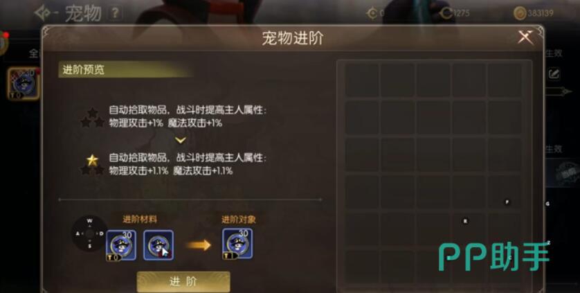 龙之谷启程宠物品质与定位分类图