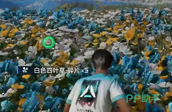杜加河谷战场环境实录