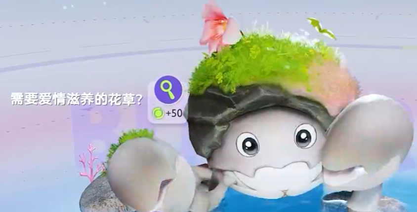 花芽蟹沙漠与湿地双形态对比图