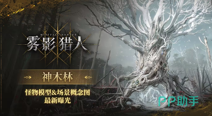 神木林四大区域与Boss位置示意图