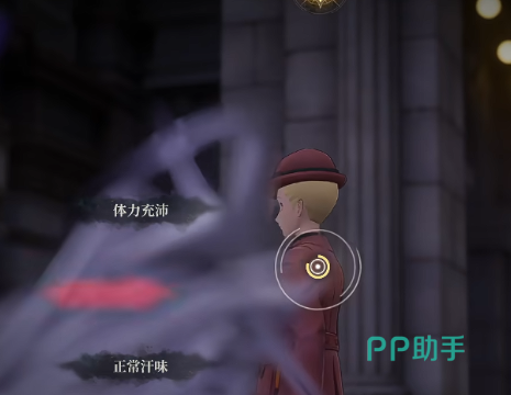 体态扫描光带与跟踪路径示意图
