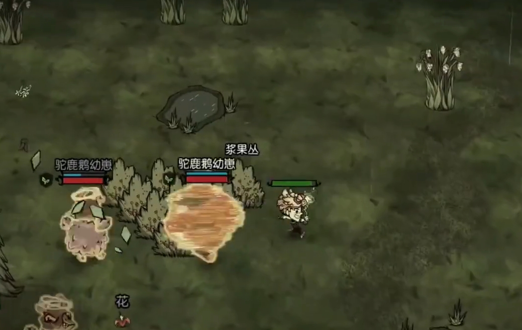 饥困荒野夜间小鹅睡眠状态界面