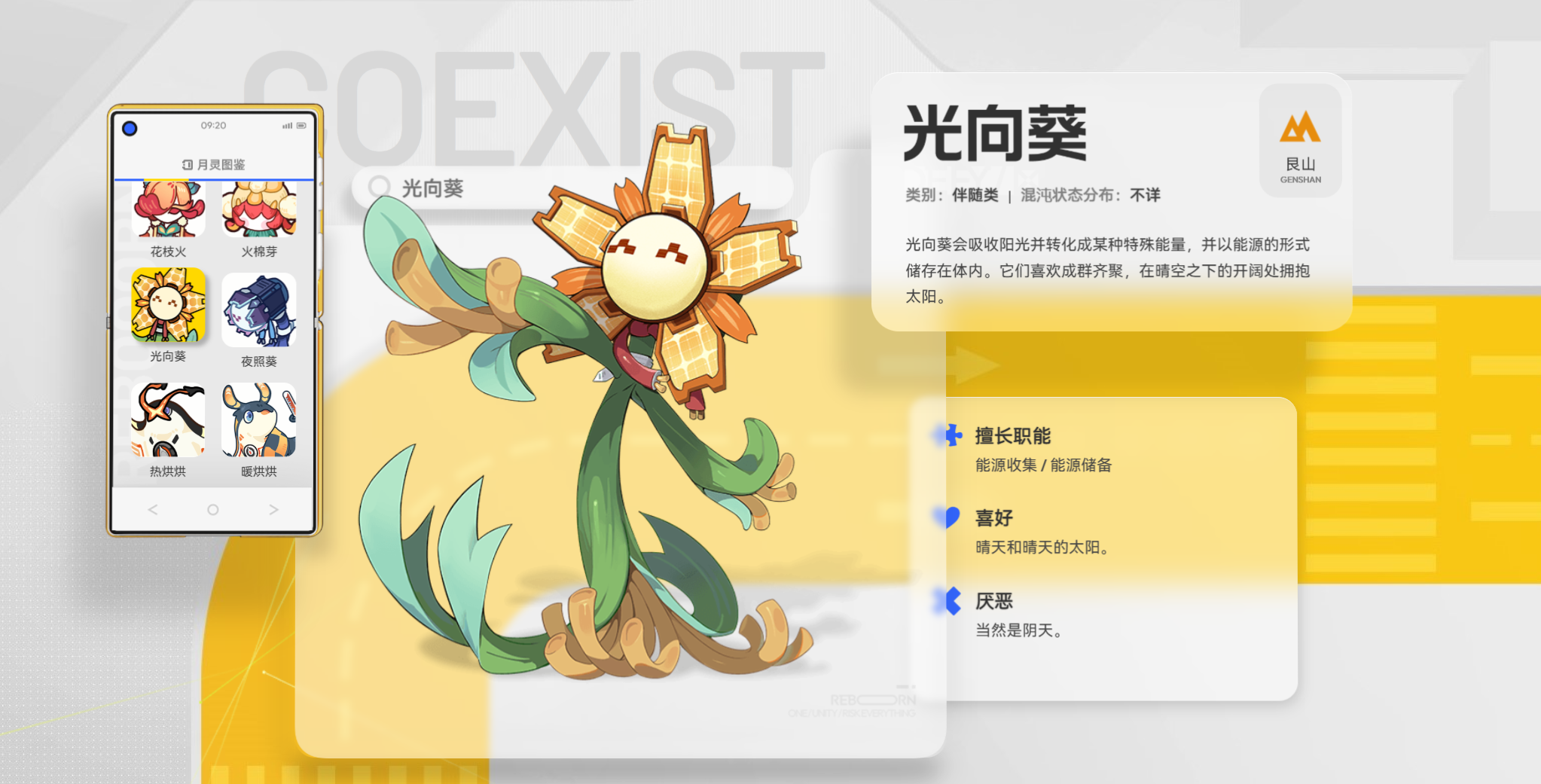 望月光向葵的功效与作用详解