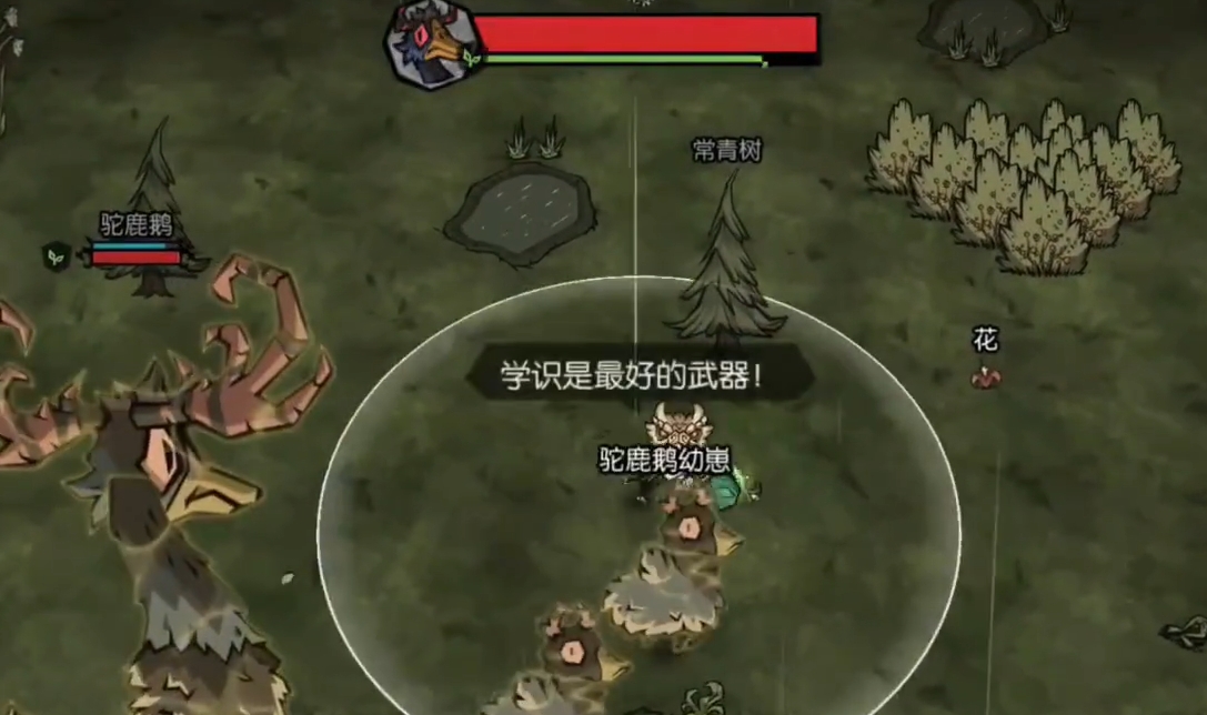 饥困荒野小鹅与驼鹿鹅警戒范围示意图