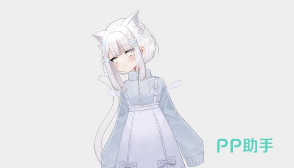 Project N.E.K.O命名释义图示