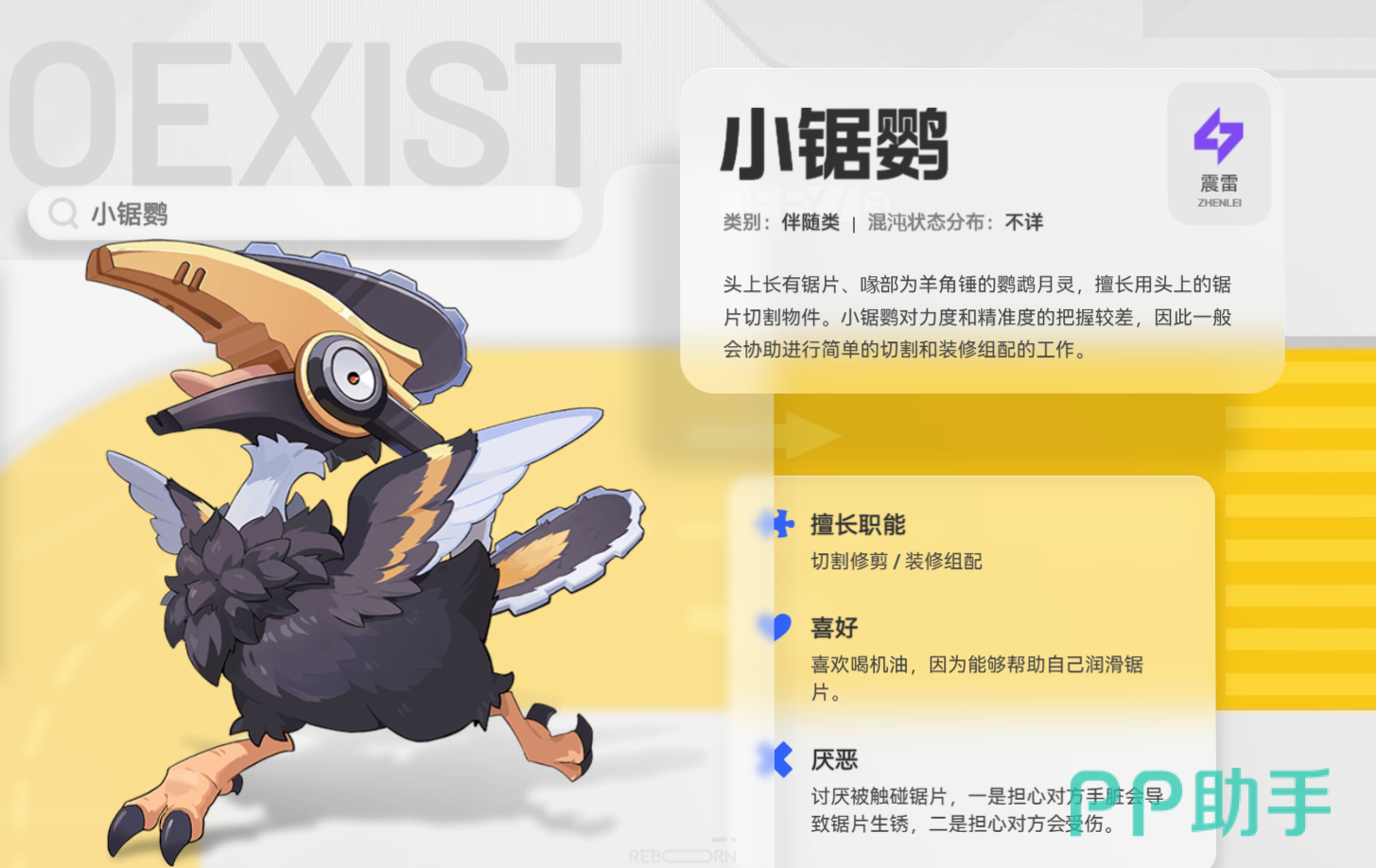 小锯鹦外观展示图