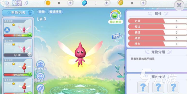 航海记手游宠物升级攻略:高效培养与进阶路线详解