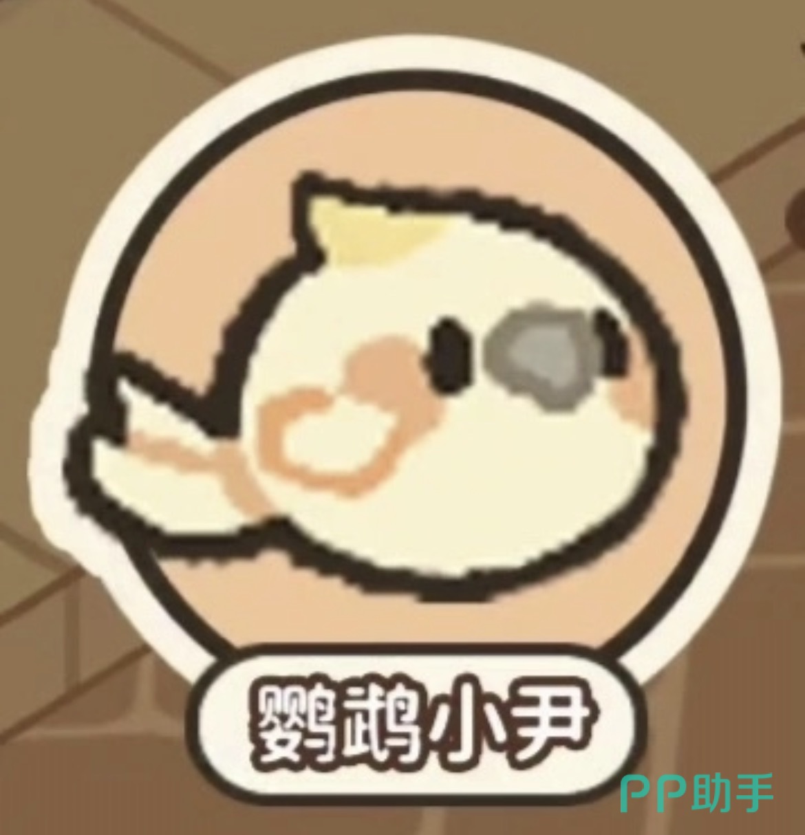 菜鸡梦想家鹦鹉小尹项链任务场景图