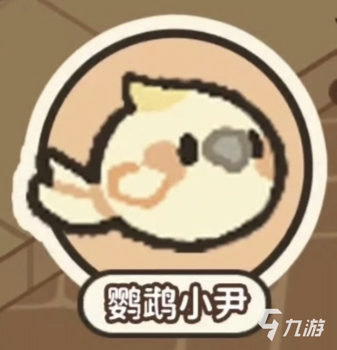菜鸡梦想家鹦鹉小尹项链任务攻略及获取位置详解