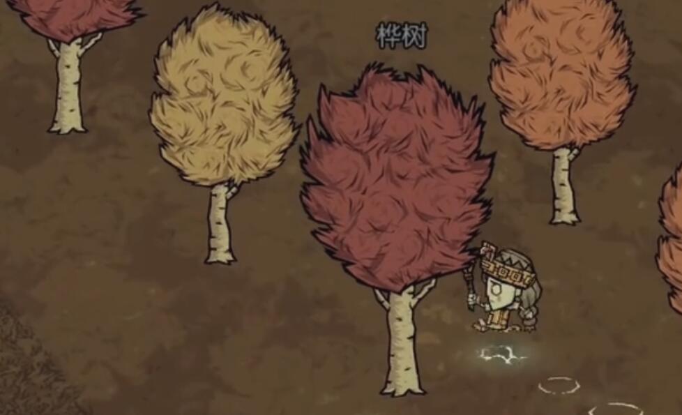 饥荒荒野树苗移植与再生机制示意