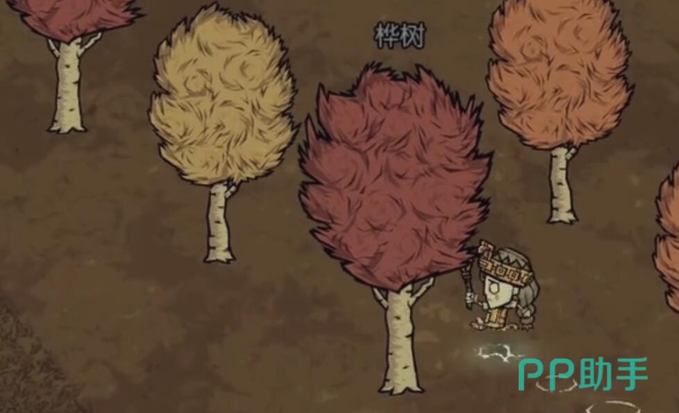 饥荒荒野树苗移植与再生机制示意