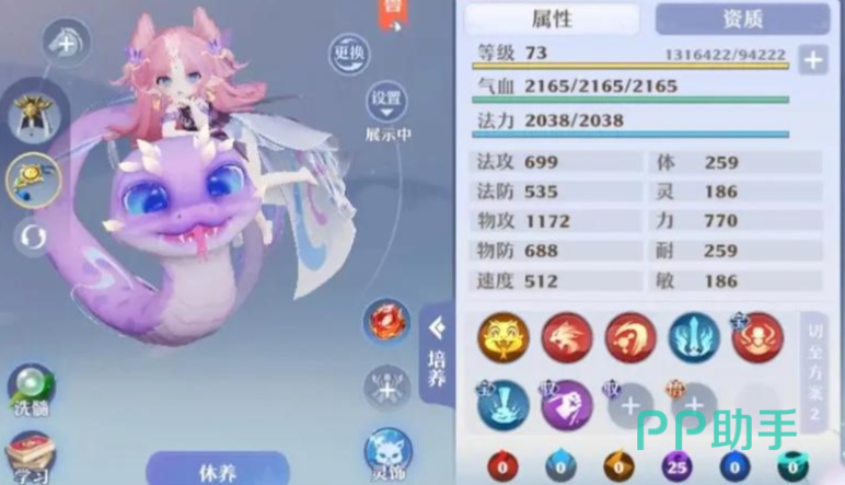 梦幻新诛仙轻享法术系宝宝符文搭配示意图