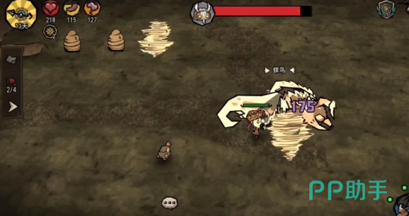 小蝶鸟飞行路径与环境线索示意图