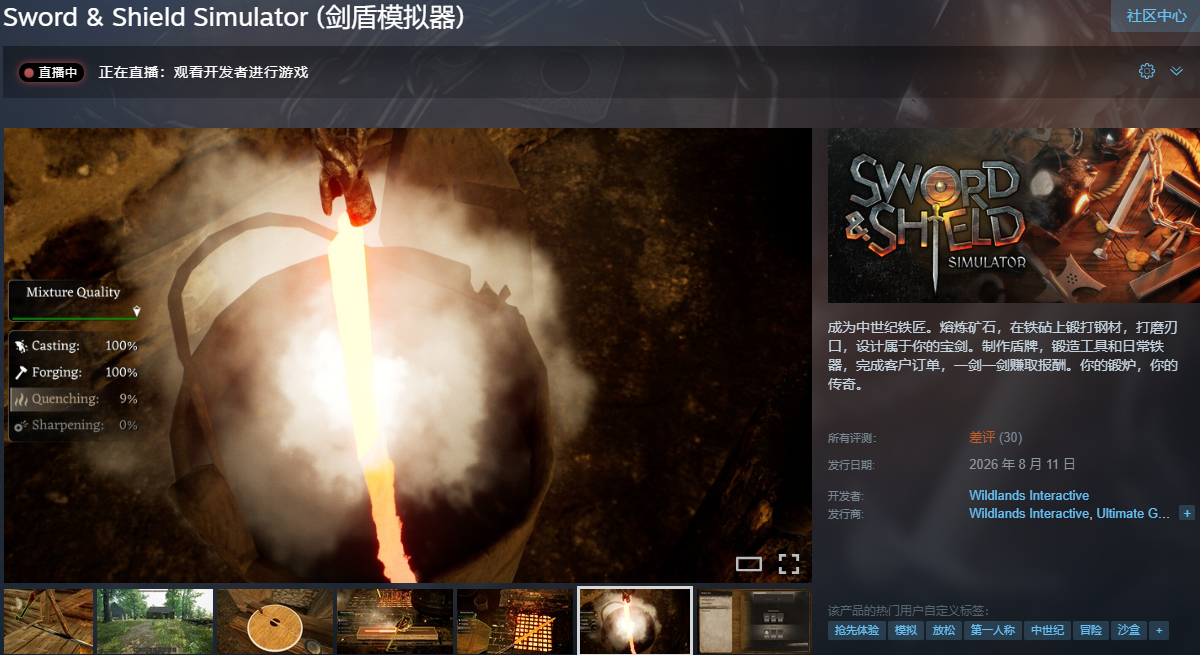 Steam商店页面截图：Sword & Shield Simulator
