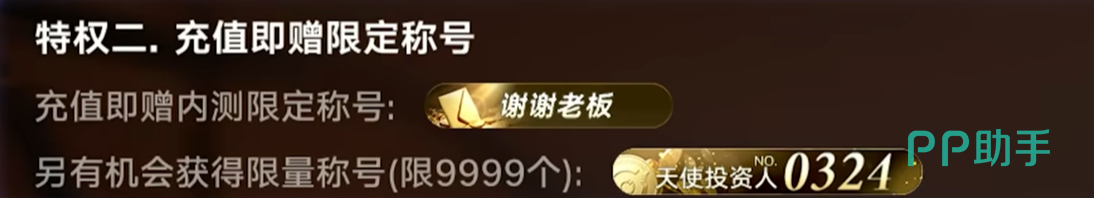 王者万象棋天使投资人称号展示图