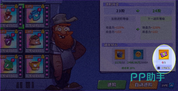 新装扮展示