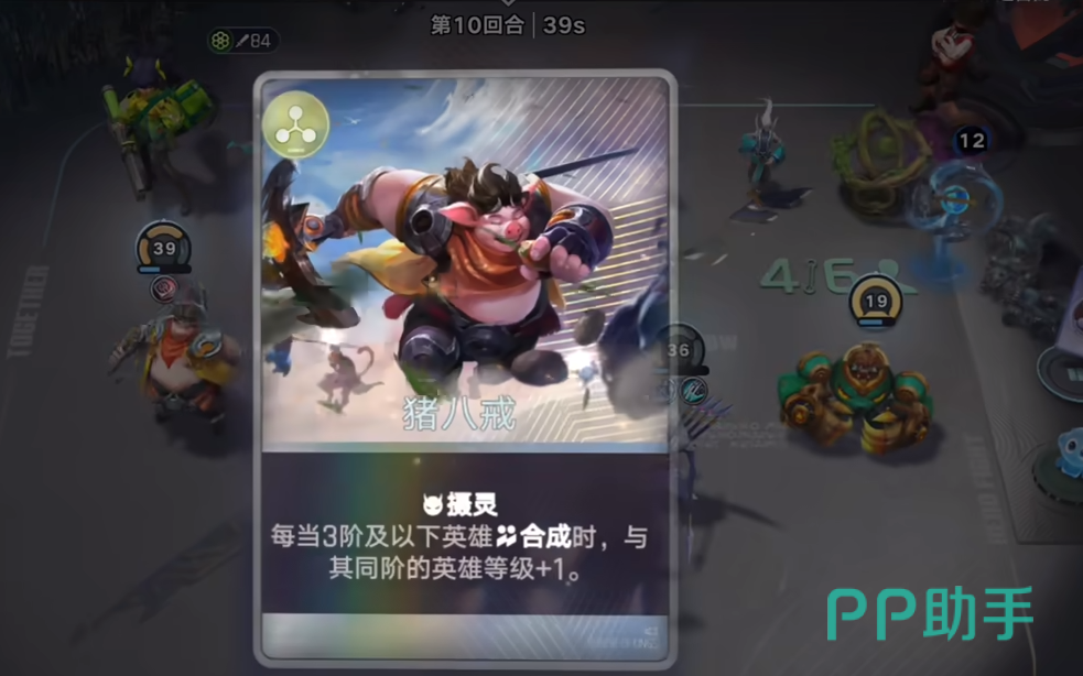 菠萝马瑶阵容站位与英雄图