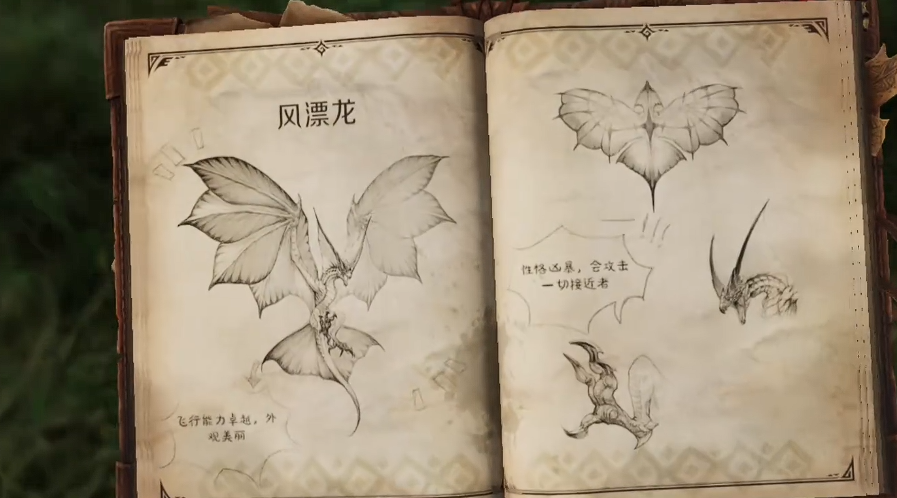 风漂龙高空盘旋