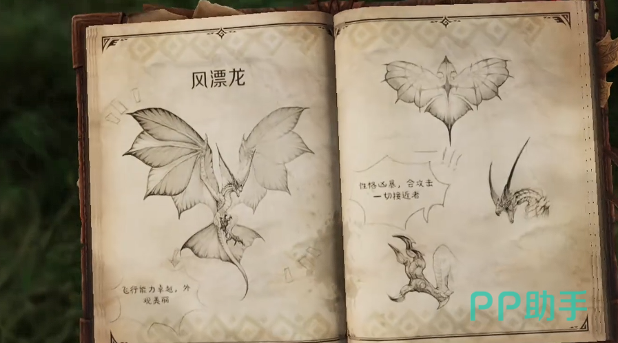 风漂龙高空盘旋