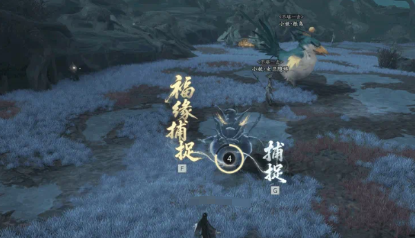 福缘抓捕化形之魂操作界面