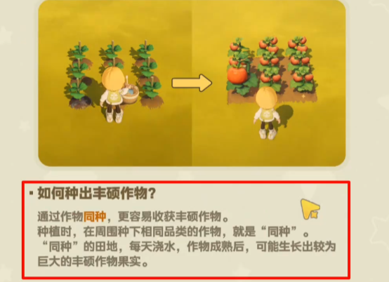 星布谷地奇异作物混种布局示意图