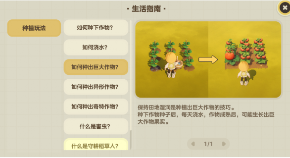 五宫格同种种植与混种对比示意图