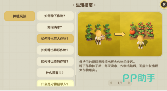 五宫格同种种植与混种对比示意图