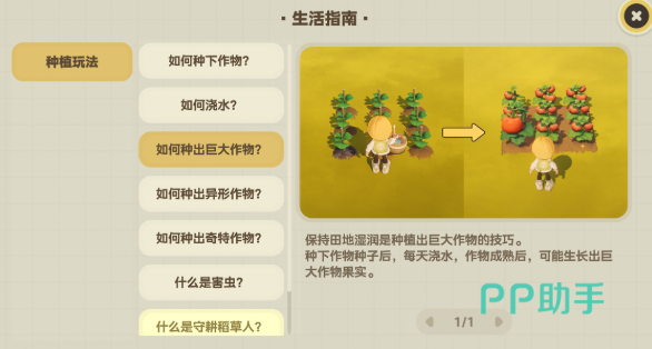 星布谷地巨大与异形作物布局对比图