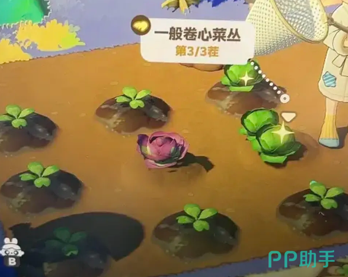 星布谷地作物成熟状态与采摘界面示意图