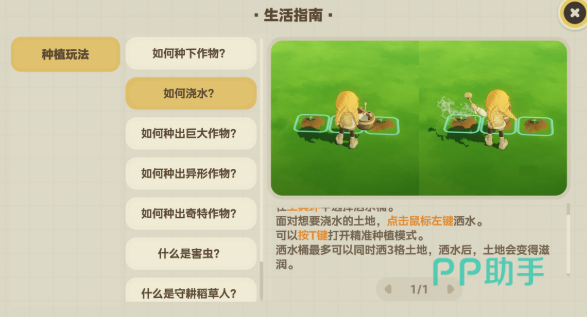 星布谷地异形作物杂交布局示意图二