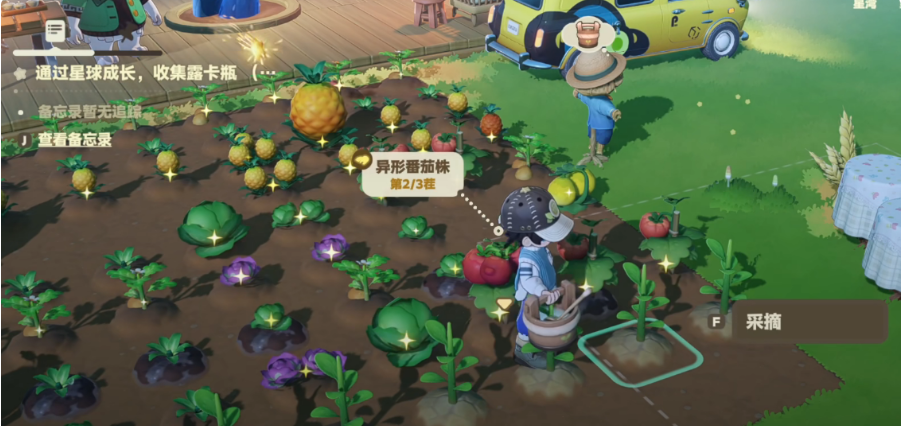 星布谷地作物高效种植技巧与实用方法分享