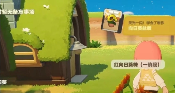 星布谷地守宫出没环境示意图
