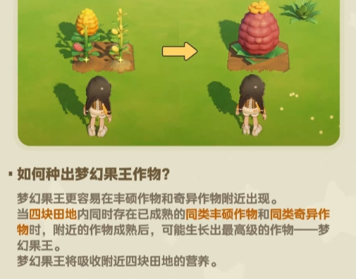 星布谷地果王种植方法详解：从选种到丰收的完整指南
