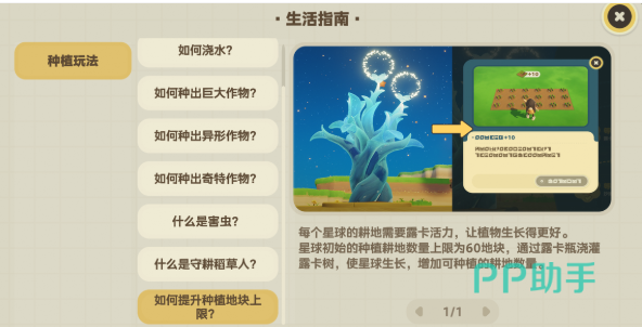 星布谷地农田功能分区示意图