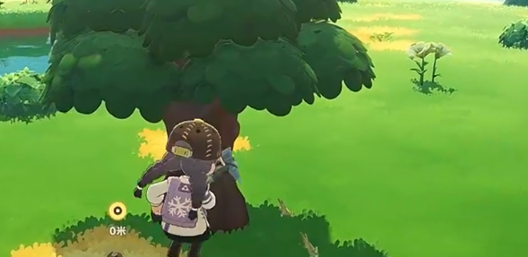塔法星系草原与芒果树实景