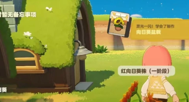 塔法星系龙血树星屿与玉米林星屿