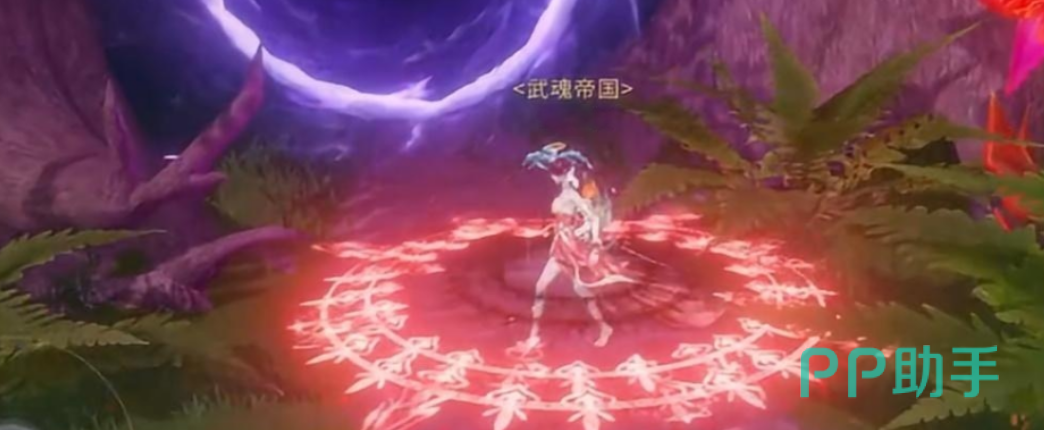 星斗大森林隐藏宝箱与仙草分布图