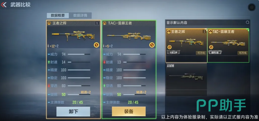王者之辉伤害分布图