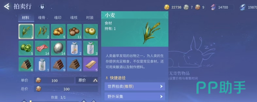 斗罗大陆诛邪传说拍卖行城市分站界面