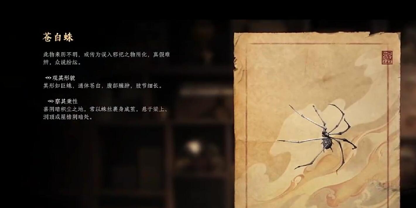 苍白蛛结茧状态特写图