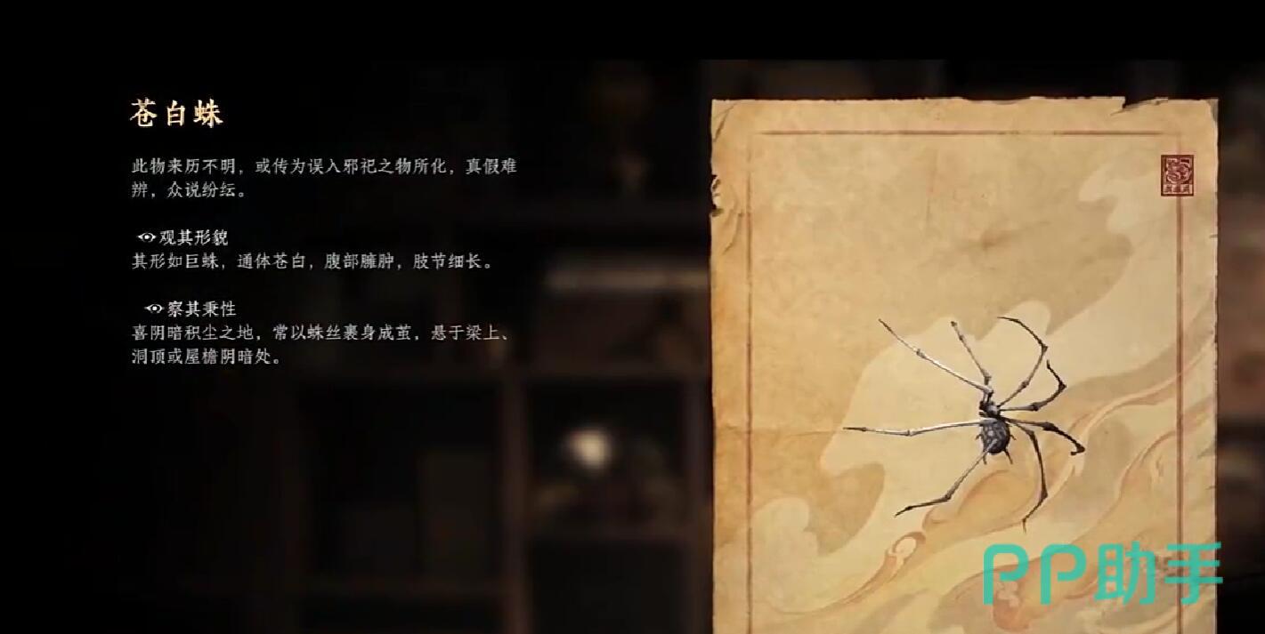 苍白蛛结茧状态特写图