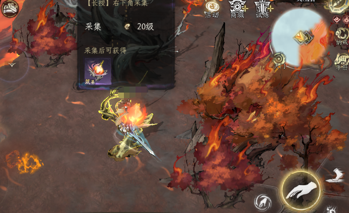 主城灵根检测石与五行品质