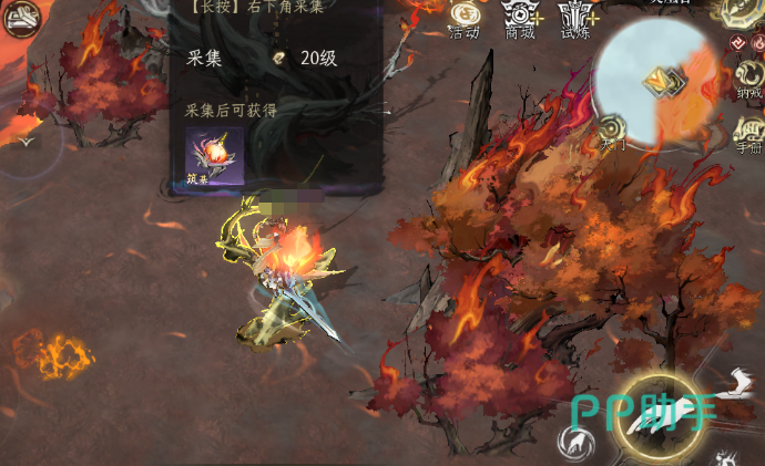 主城灵根检测石与五行品质