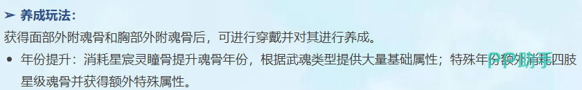 特殊年份所需四肢魂骨星级要求说明