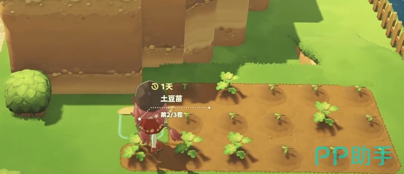 星布谷地作物施肥效果对比图
